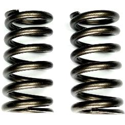 Honda CRF 450R 2017-2025 INTAKE VALVE SPRINGS